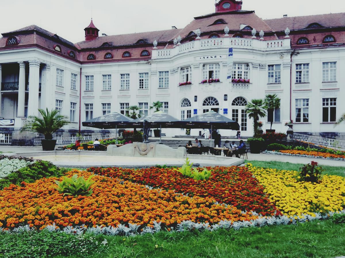 Apartment Alice Center Karlovy Vary Bagian luar foto